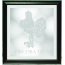 Framed: Green