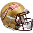 Florida State Seminoles Speed Football Helmet <B>Metallic Paint</B>