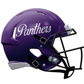 Northern Iowa Panthers NCAA Mini Speed Football Helmet