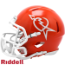 Florida Gators NCAA Mini Speed Football Helmet <B>Tom Petty</B>