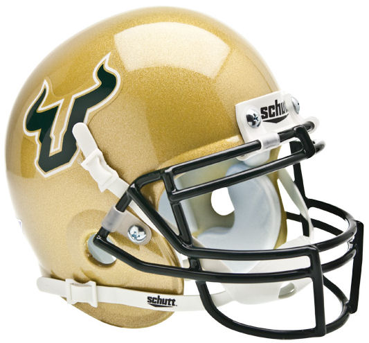 South Florida Bulls Mini XP Authentic Helmet Schutt