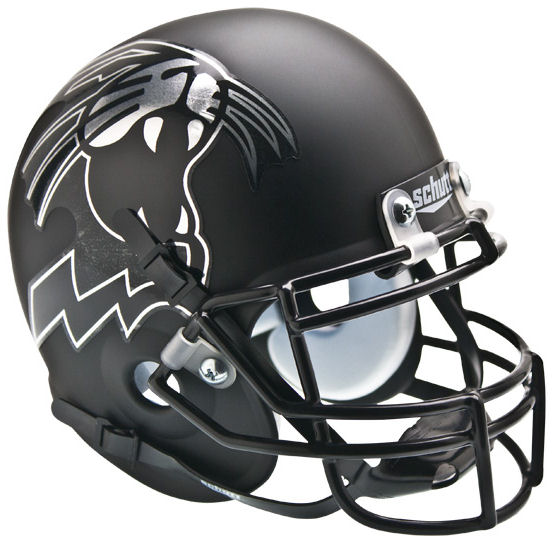 Northwestern Wildcats Mini XP Authentic Helmet Schutt <B>Matte Growling Wildcat</B>